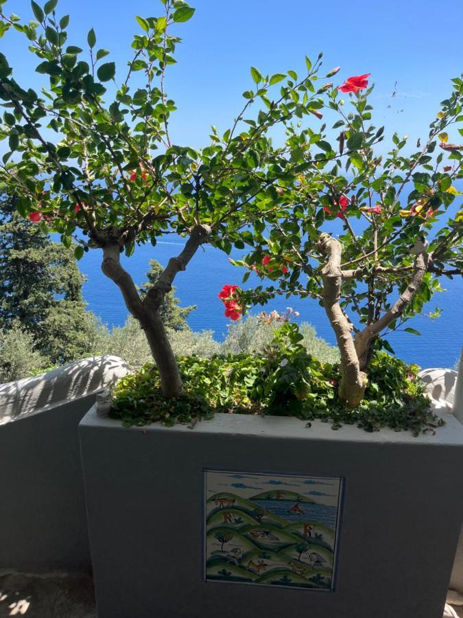 Holiday home Casa Reverie Praiano